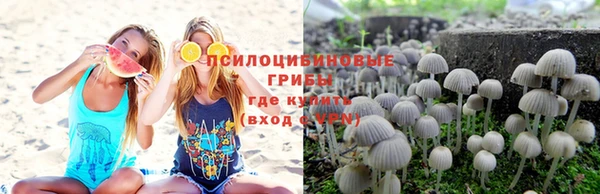 PSILOCYBIN Зеленодольск