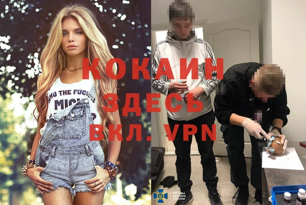 ешки Протвино